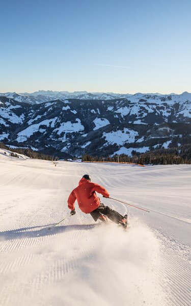  Snow Card Tirol I Ski Juwel Alpbachtal Wildschönau Illustration 